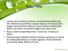 0007-nature-ppt-template-0001-3