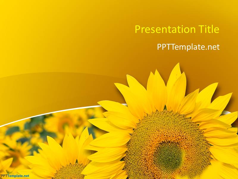 free-sunflower-ppt-template