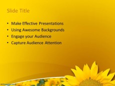 sunflower powerpoint template