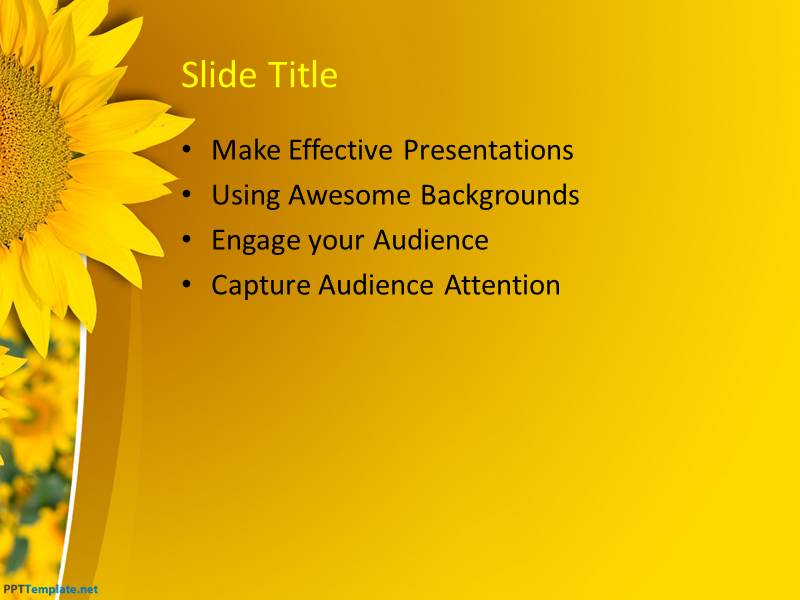 0029-sunflower-ppt-template-3-ppt-template