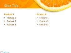 10043-orange-ppt-template-0001-4