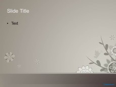 10028-04-beauty-hair-ppt-template-2