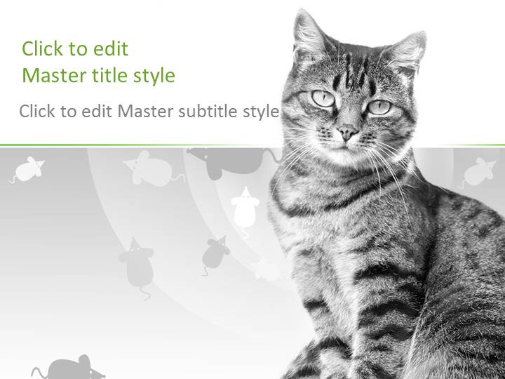 cat powerpoint template