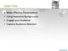 10031-02-cat-ppt-template-2