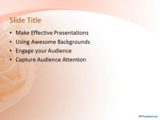 10036-04-anniversary-flowers-ppt-template-2