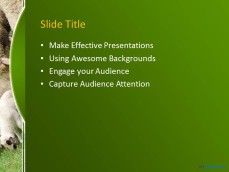 10060-02-sheeps-in-a-field-ppt-template-3
