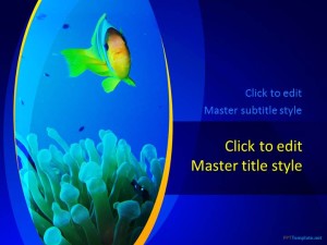 Free Fish Tank PPT Template