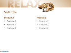 10123-relax-leisure-ppt-template-4