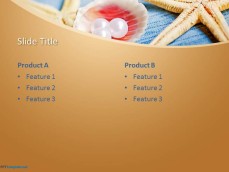 10128-sea-star-ppt-template-0001-4