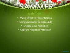 10220-summer-poppy-ppt-template-0001-2