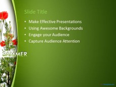 10220-summer-poppy-ppt-template-0001-3