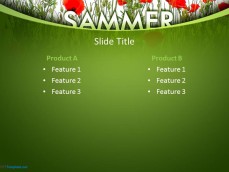 10220-summer-poppy-ppt-template-0001-4