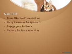 10243-cats-ppt-template-0001-2