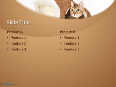 10243-cats-ppt-template-0001-4